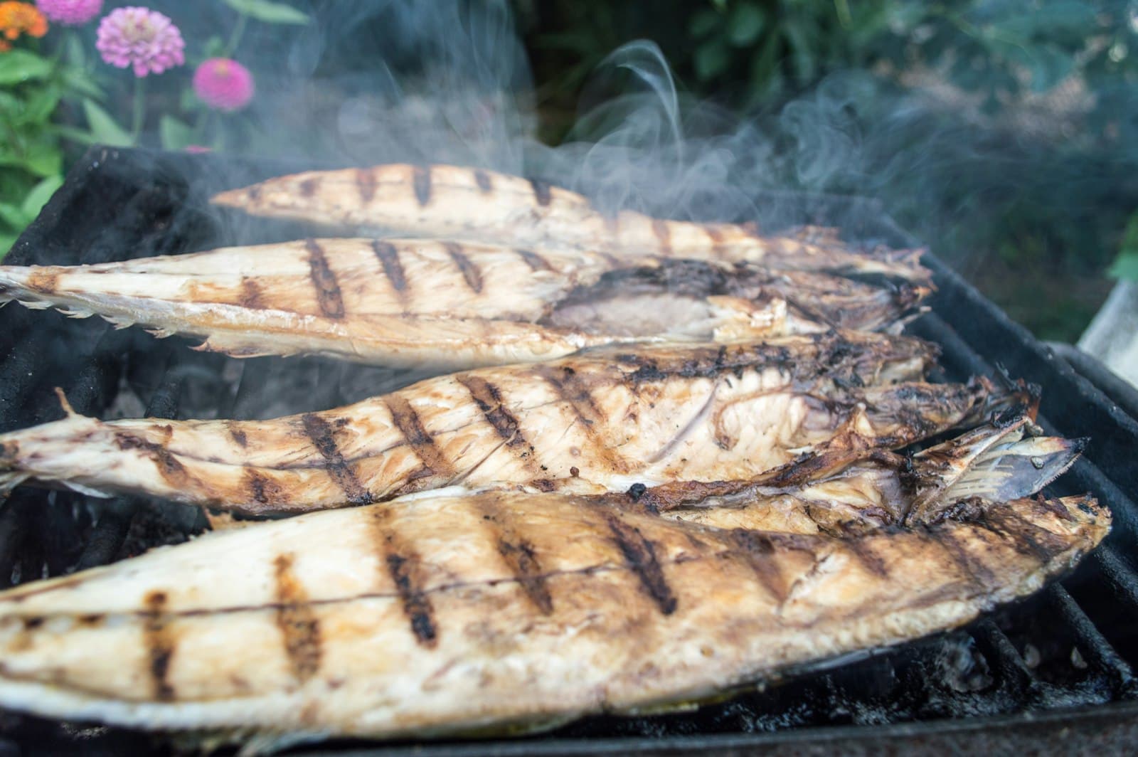 Grilled fish with pepper